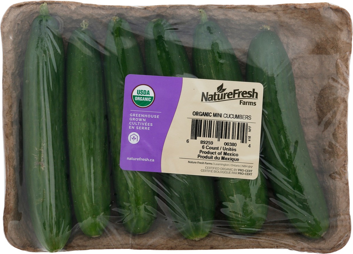 slide 7 of 11, NatureFresh Farms Organic Mini Cucumbers 6 ea, 6 ct
