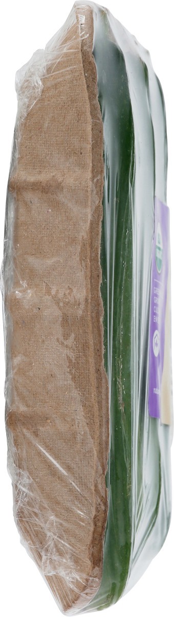 slide 3 of 11, NatureFresh Farms Organic Mini Cucumbers 6 ea, 6 ct