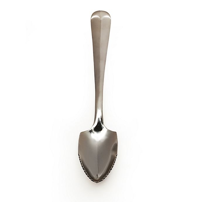 slide 1 of 1, RSVP Endurance Stainless Steel Grapefruit Spoon, 1 ct