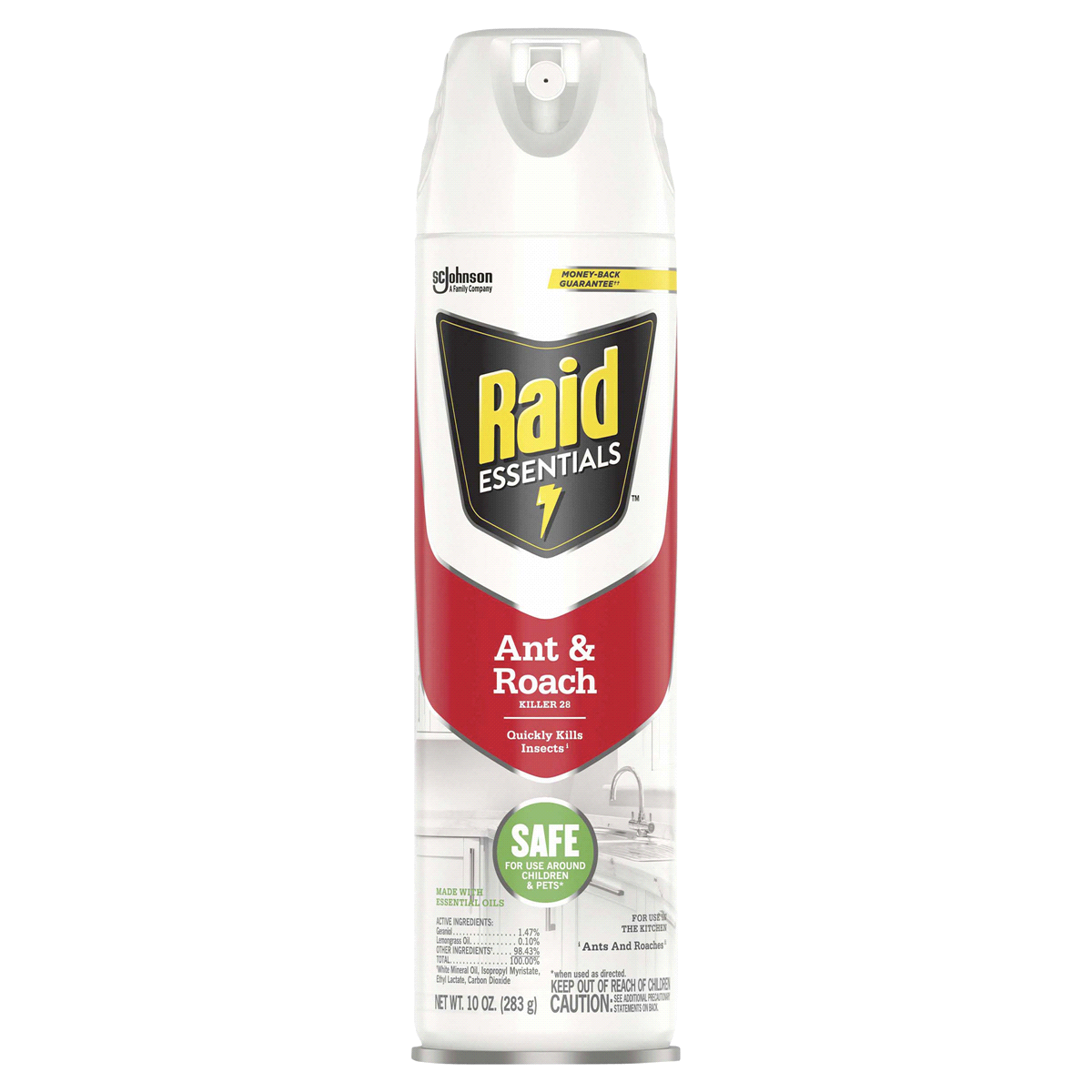 slide 1 of 1, Raid Essentials Ant & Roach Killer 28, Aerosol, Indoor Insect Killer, 10oz, 10 oz