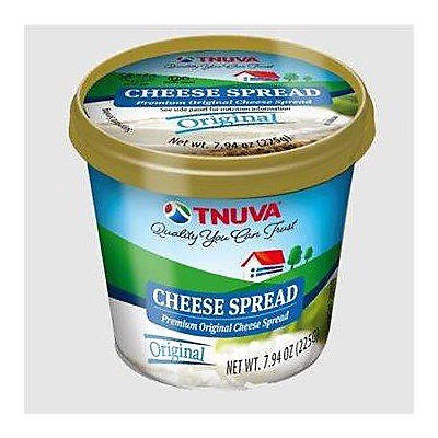 slide 1 of 1, Tnuva Cream Cheese Garlic/Dill, 7.94 oz