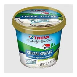 Tnuva Cream Cheese Garlic/Dill