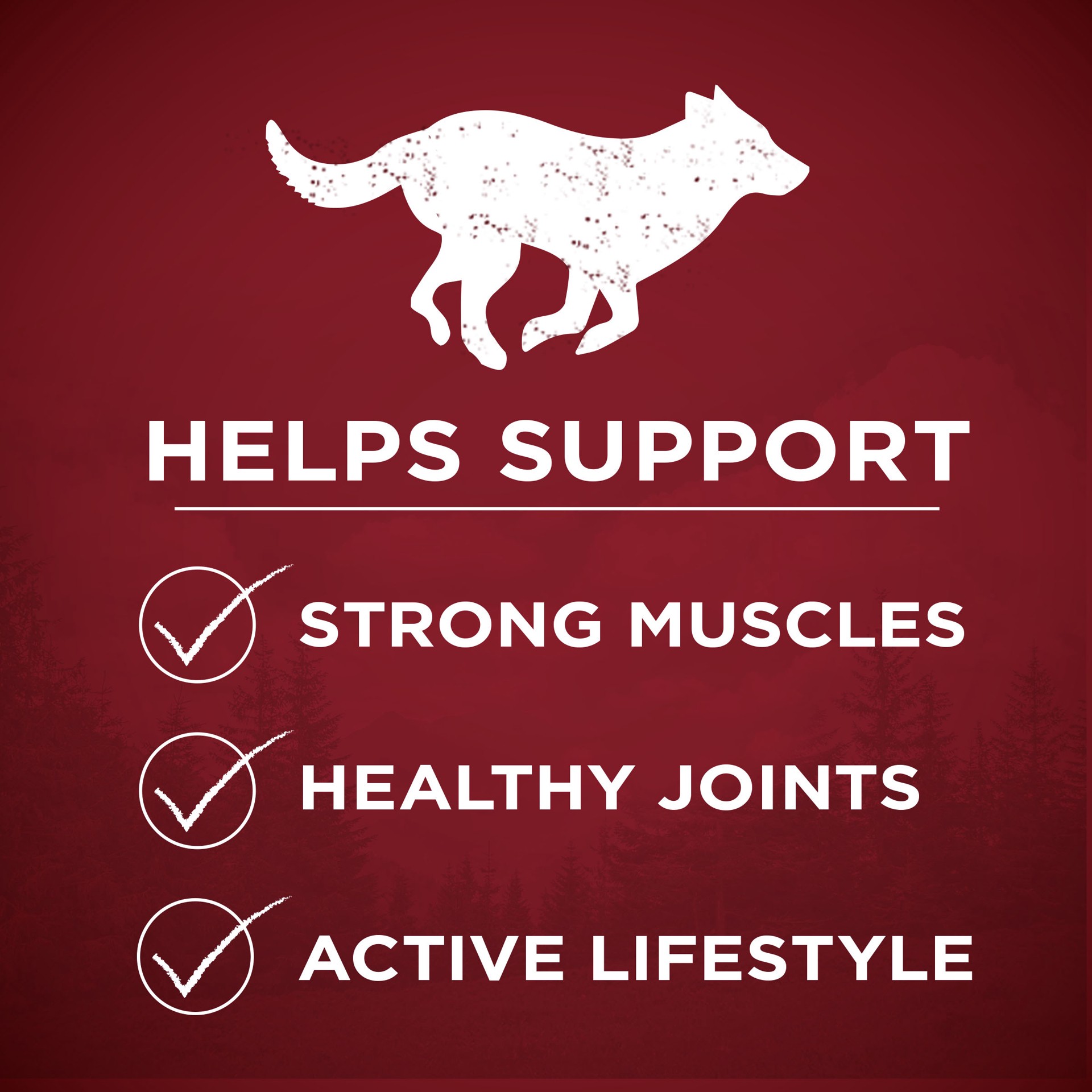 slide 4 of 9, ONE Purina ONE True Instinct High Protein Dry Dog Food Formula with Real Chicken and Duck Natural with Added Vitamins and Minerals Dog Food, 3.80 lb