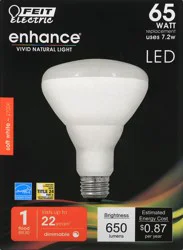 Feit Electric Light Bulb, 1 ea