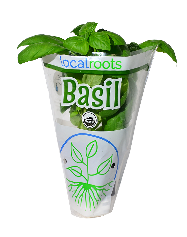 slide 1 of 1, Local Roots Potted Organic Basil, 8.9 oz