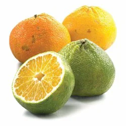 Fresh Ugli Fruit
