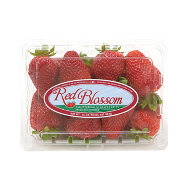 slide 1 of 1, Red Blossom Strawberries, 1 lb