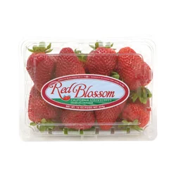 Red Blossom Strawberries