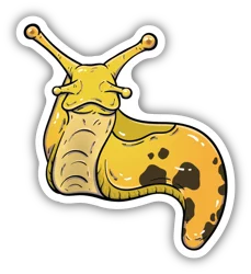 Stickers Northwest Banana Slug Sticker