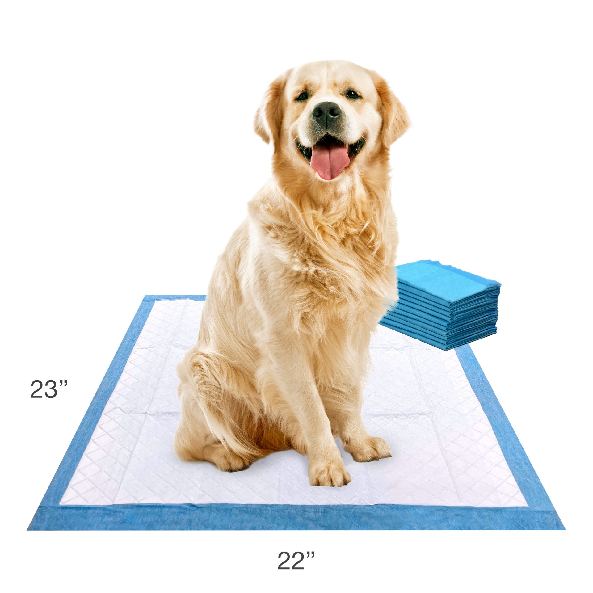 slide 2 of 10, Four Paws Four Paws Wee-Wee Superior Performance Dog Pee Pads 22" x 23" (10 Pack), 10 ct