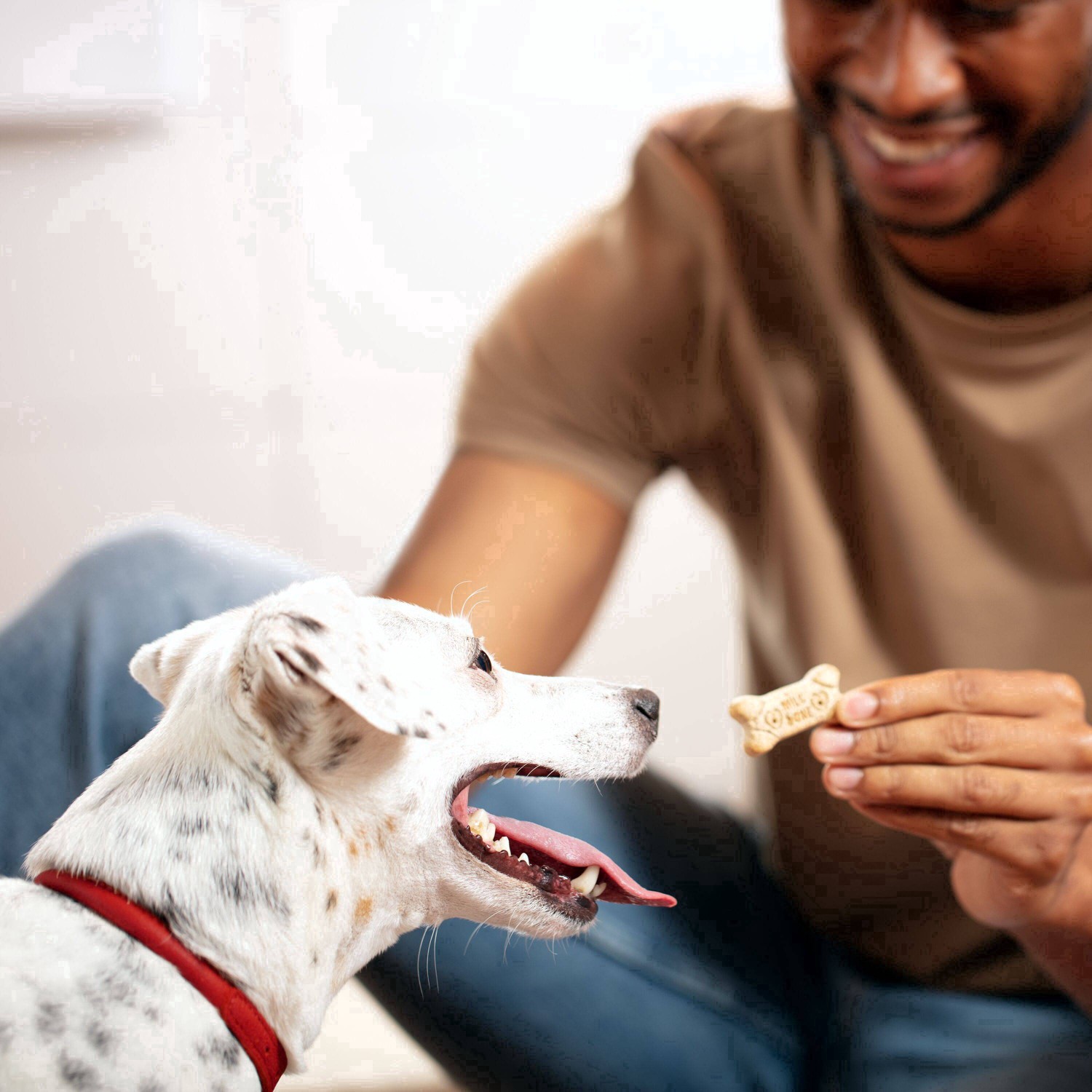 slide 4 of 33, Milk-Bone Flavor Snacks Mini Dog Biscuits, Flavored Crunchy Dog Treats, 36 Oz., 36 oz