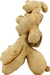 Ginger Root