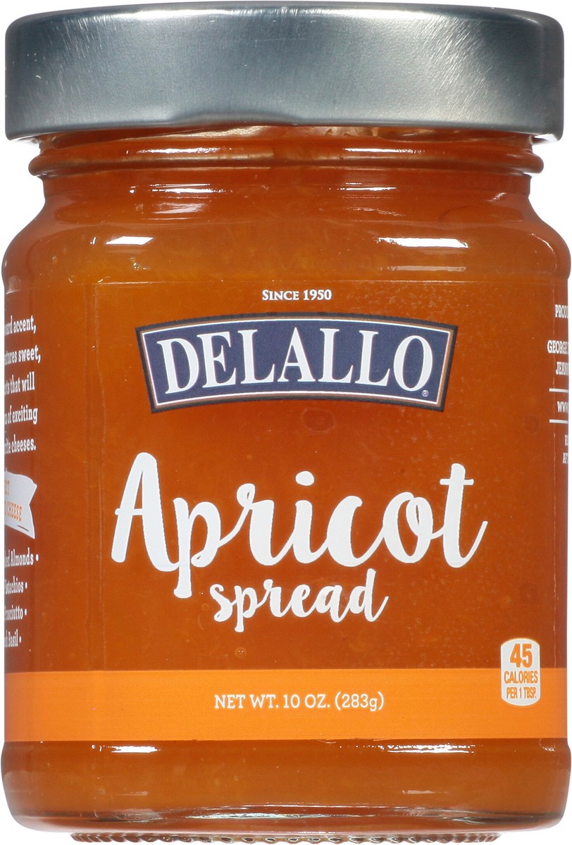 slide 1 of 13, DeLallo Apricot Spread - 10 oz, 10 oz