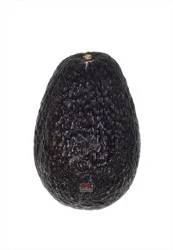 Main Plu Scale Avocado- Hass