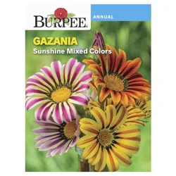 Burpee Gazania Sunshine Mix Seeds