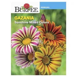 Burpee Gazania Sunshine Mix Seeds