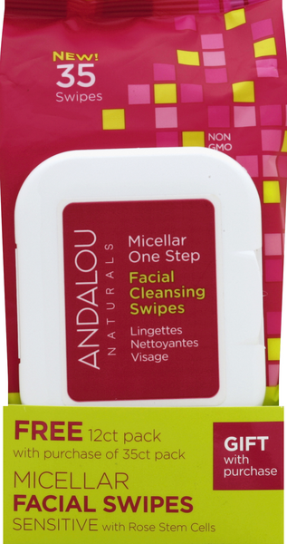 slide 1 of 1, Andalou Naturals Facial Swipes 1 Ea, 1 ct