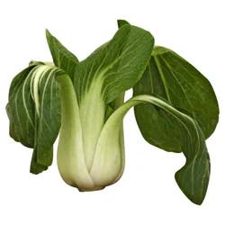 Fresh Cabbage Bok Choy