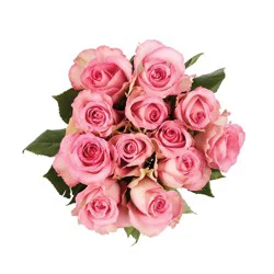 Nob Hill Trading Co. Dozen Pink Roses - 1 count