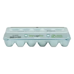 Publix Large Cage Free Eggs - 12 ct