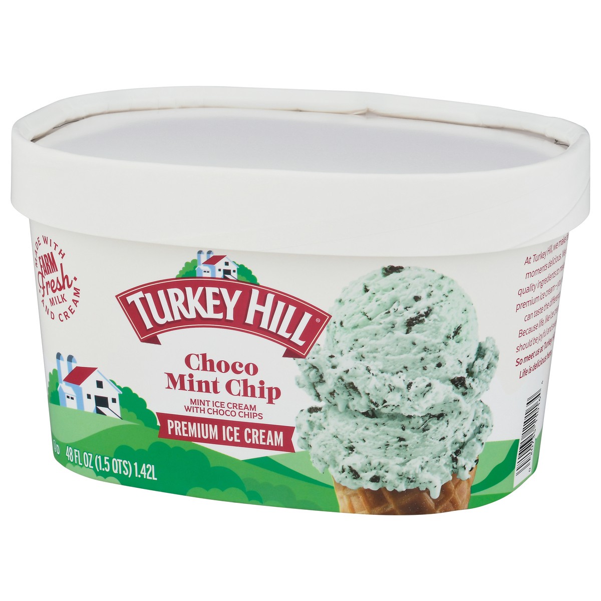 slide 7 of 9, Turkey Hill Premium Choco Mint Chip Ice Cream 48 fl oz, 48 fl oz