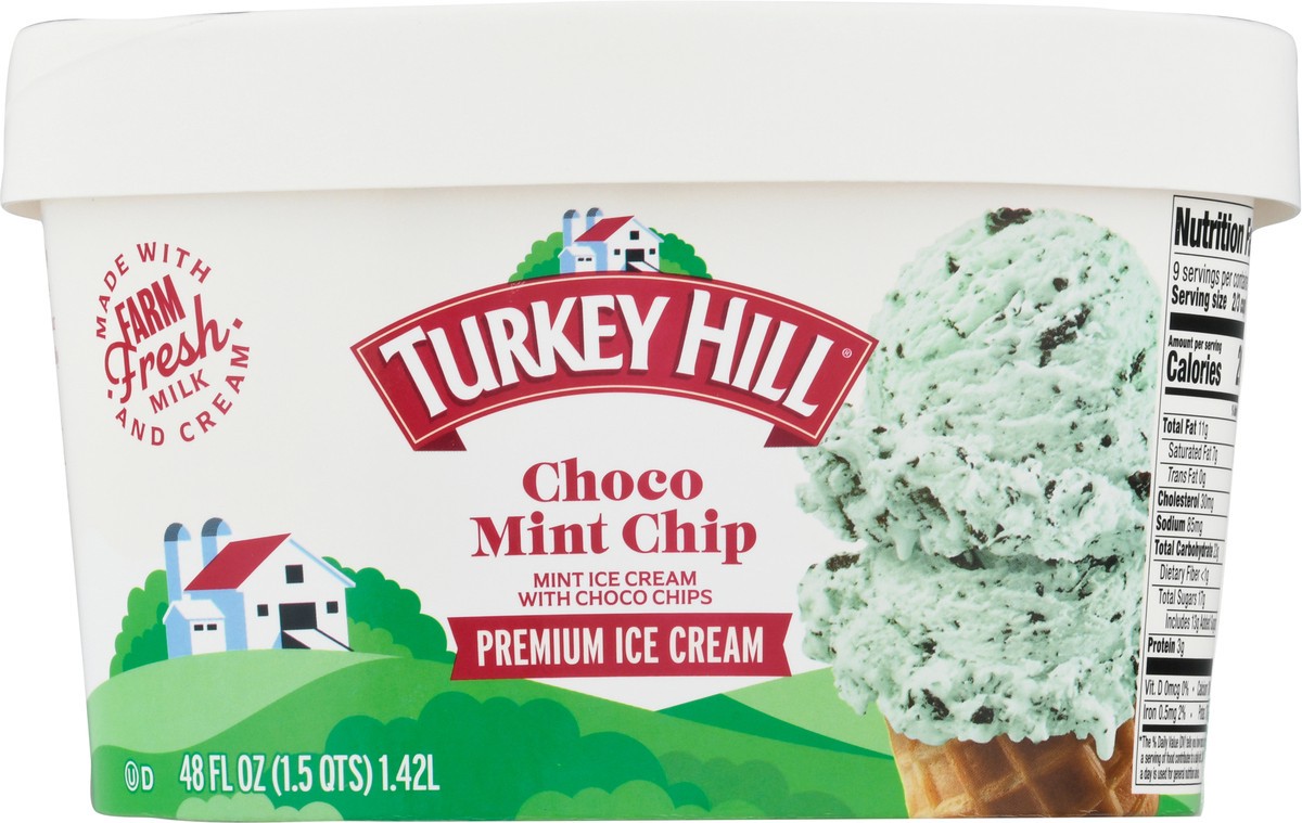 slide 5 of 9, Turkey Hill Premium Choco Mint Chip Ice Cream 48 fl oz, 48 fl oz