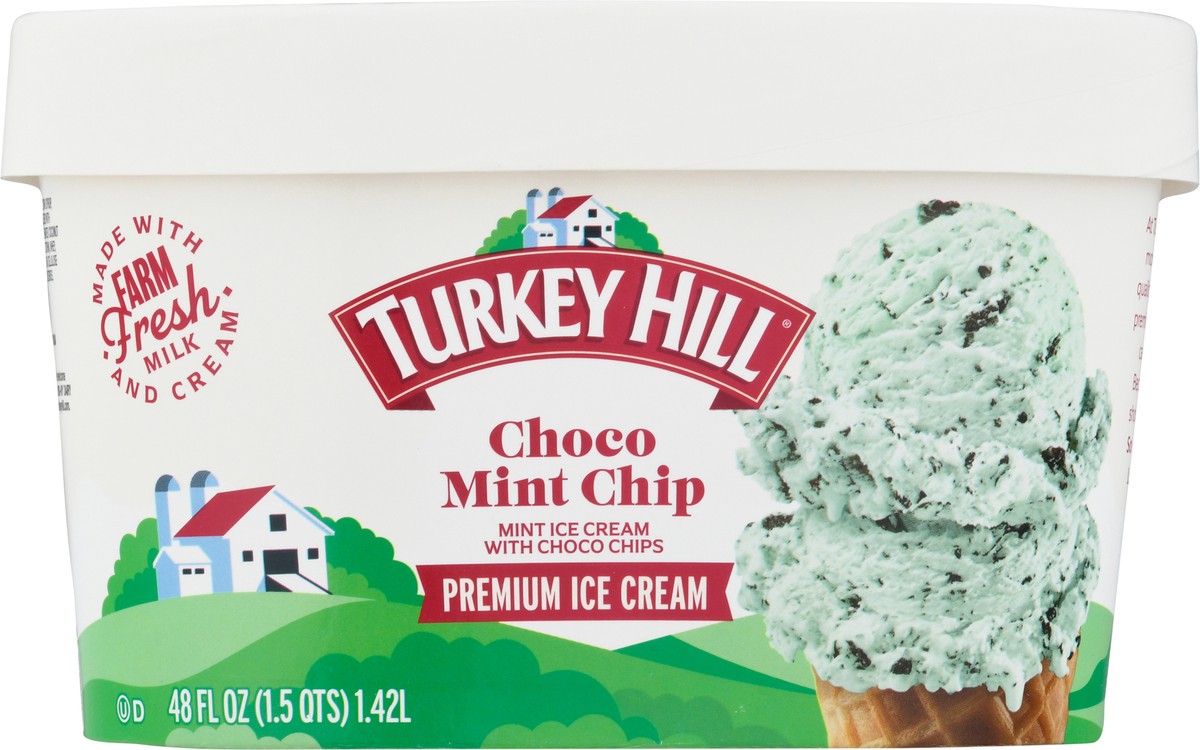 slide 3 of 9, Turkey Hill Premium Choco Mint Chip Ice Cream 48 fl oz, 48 fl oz