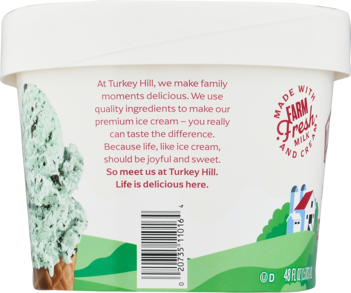 slide 2 of 9, Turkey Hill Premium Choco Mint Chip Ice Cream 48 fl oz, 48 fl oz