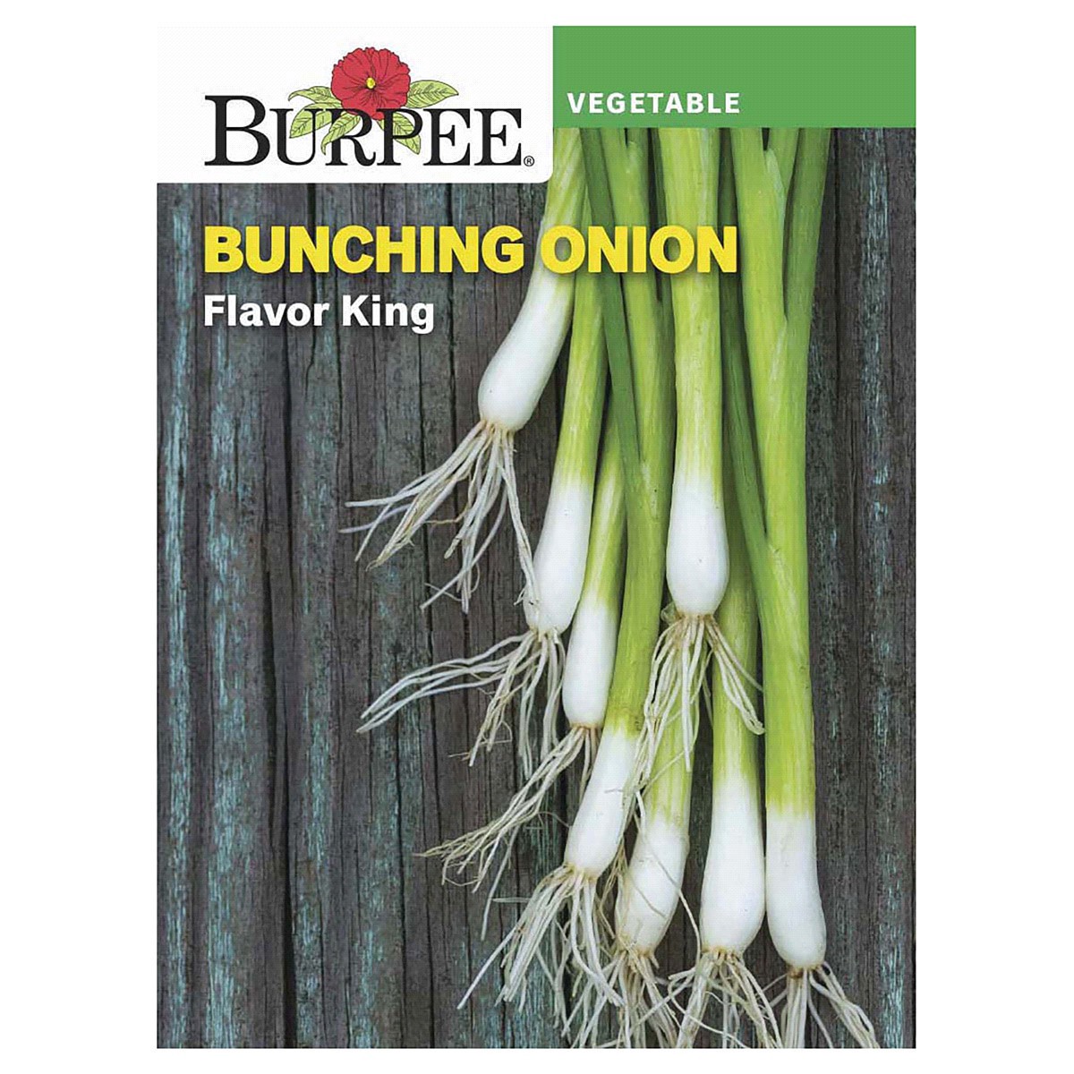 slide 1 of 5, Burpee Onion Flavor King Seeds, 1 ct