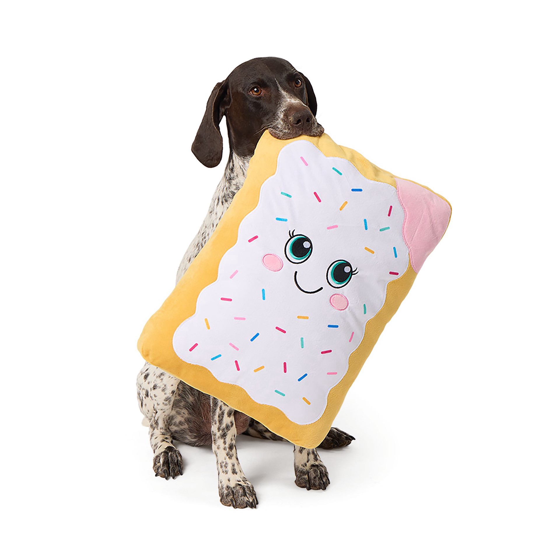 slide 1 of 1, Joyhound® Pop Tart Squeaker Plush Dog Toy, 1 ct; X Large