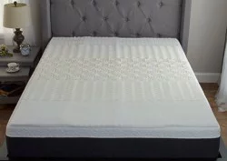 Everyday Living 5 Zone Antimicrobial Queen Mattress Topper