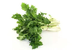 Turnip Greens 1 ea