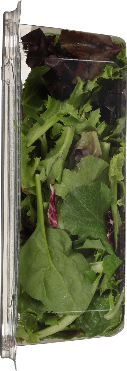 slide 2 of 15, Full Circle Market Organic Baby Spring Mix 5 oz, 5 oz