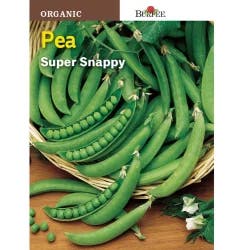 Burpee Super Snappy Organic Pea Seeds - Green