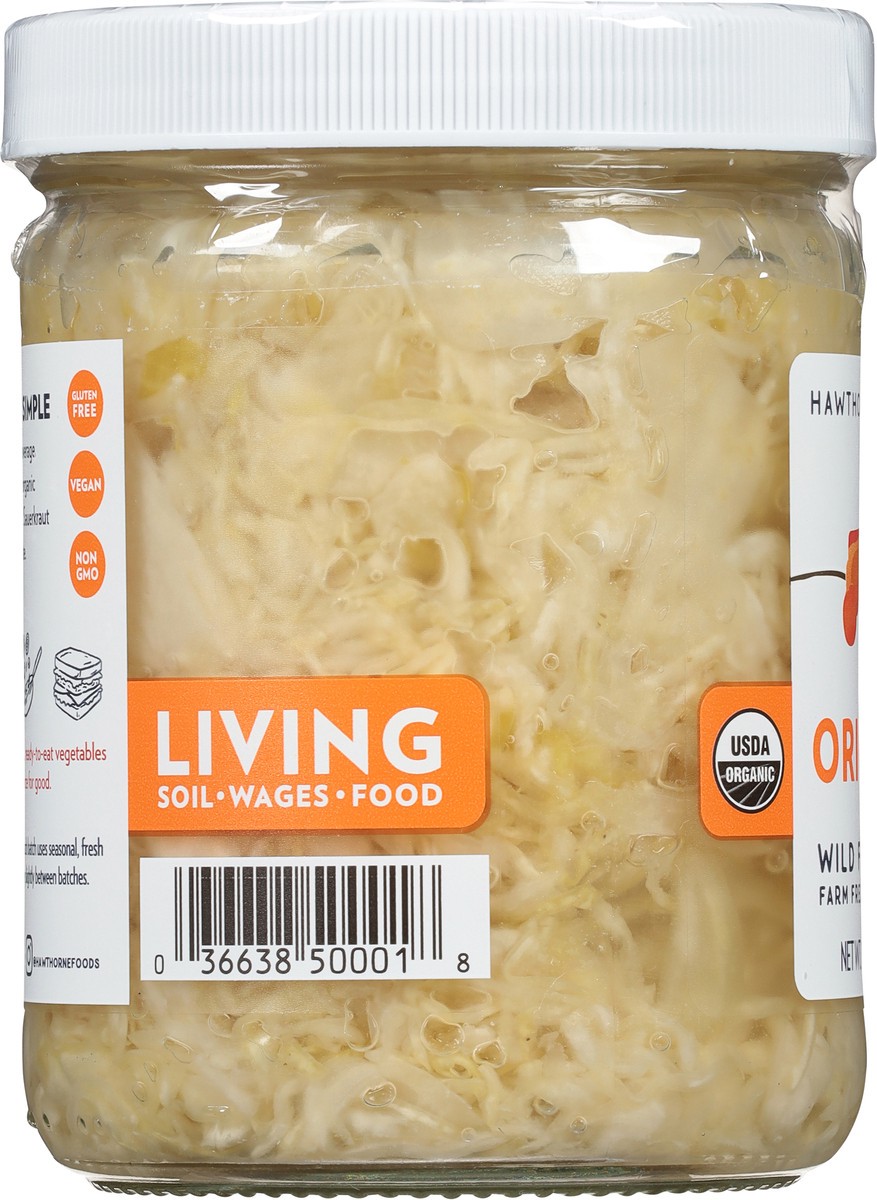 slide 8 of 13, Hawthorne Foods Original Sauerkraut 16 oz, 16 oz