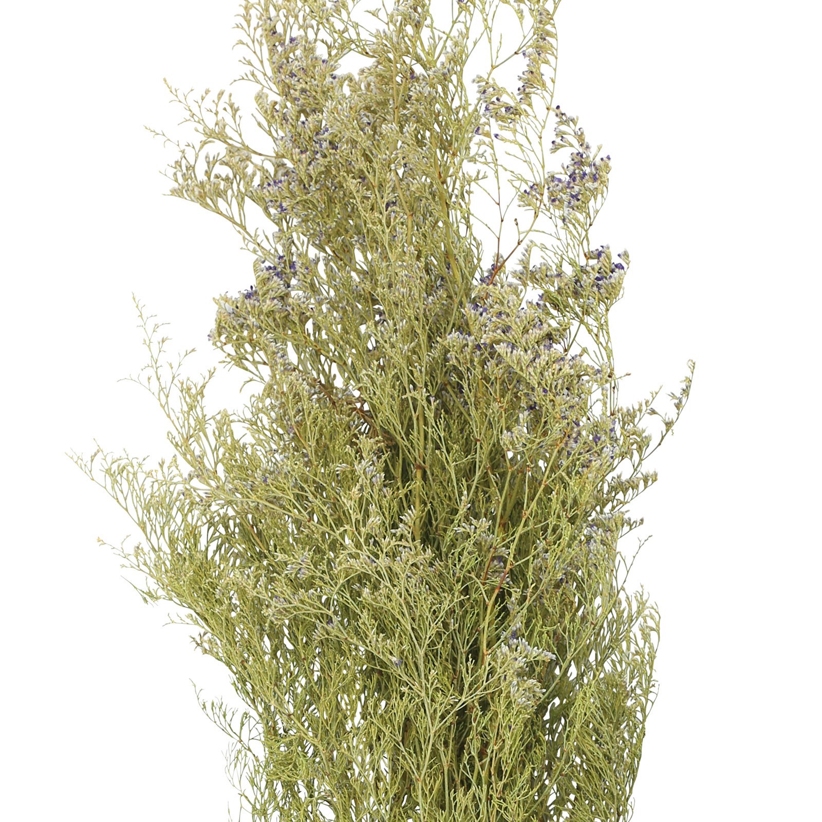 slide 2 of 2, 26" Natural Caspia Flowers By Ashland, 26 in