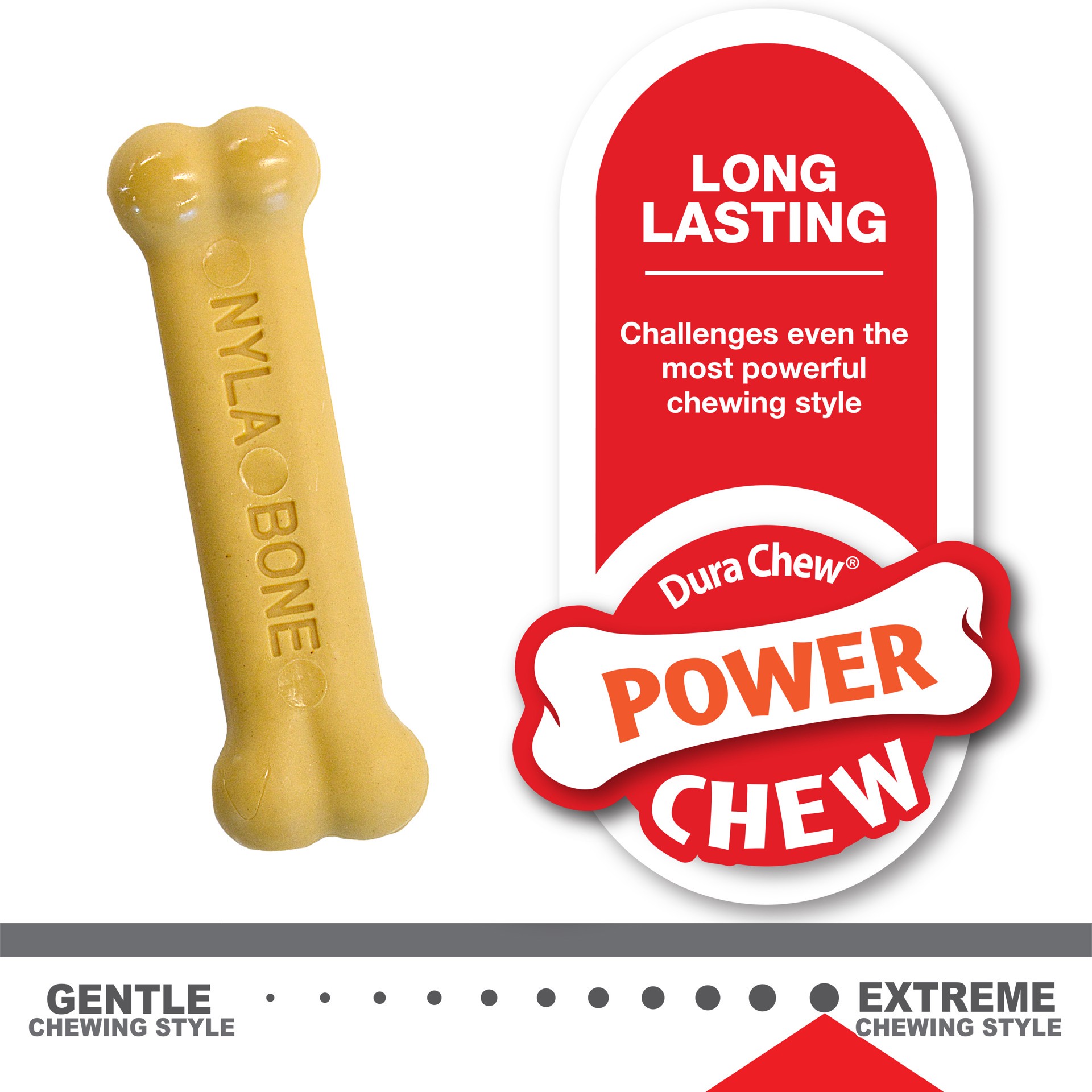 slide 7 of 10, Nylabone Classic Puppy Chew Flavored Durable Dog Chew Toy Chicken & Peanut Butter Bone X-Small/Petite - Up to 15 lbs.(2 Count), 1 ct