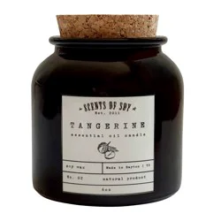 Scents Of Soy Tangerine Scented Essential Oil Candle