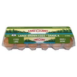 Land O'Lakes Large Brown Eggs, 12 Count