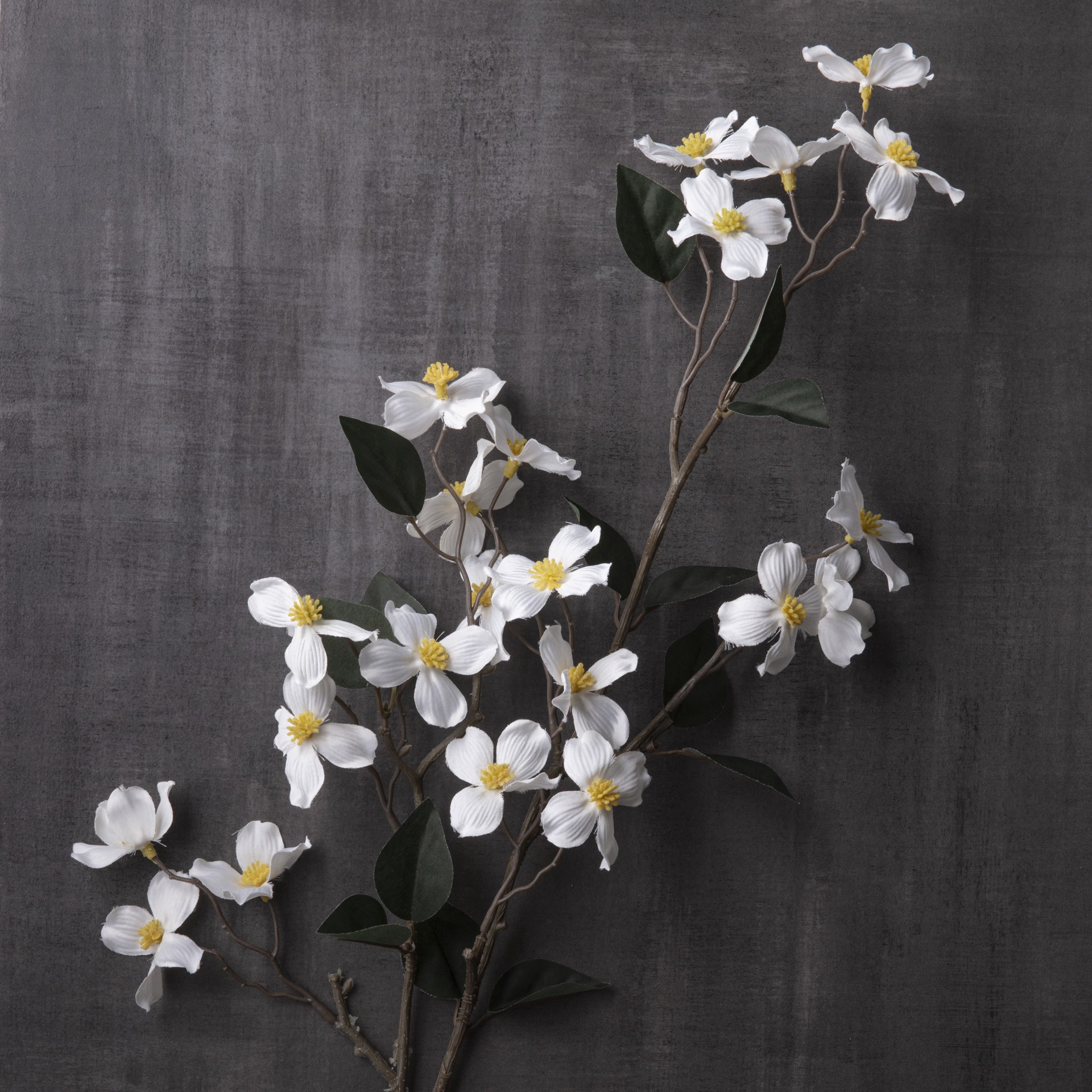 slide 3 of 3, White Mini Dogwood Stem By Ashland, 44 in