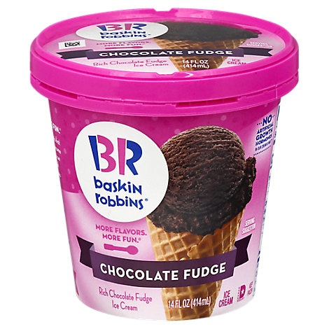 slide 1 of 1, Baskin-Robbins Baskin Robbins Ice Cream Chocolate Fudge, 14 fl oz