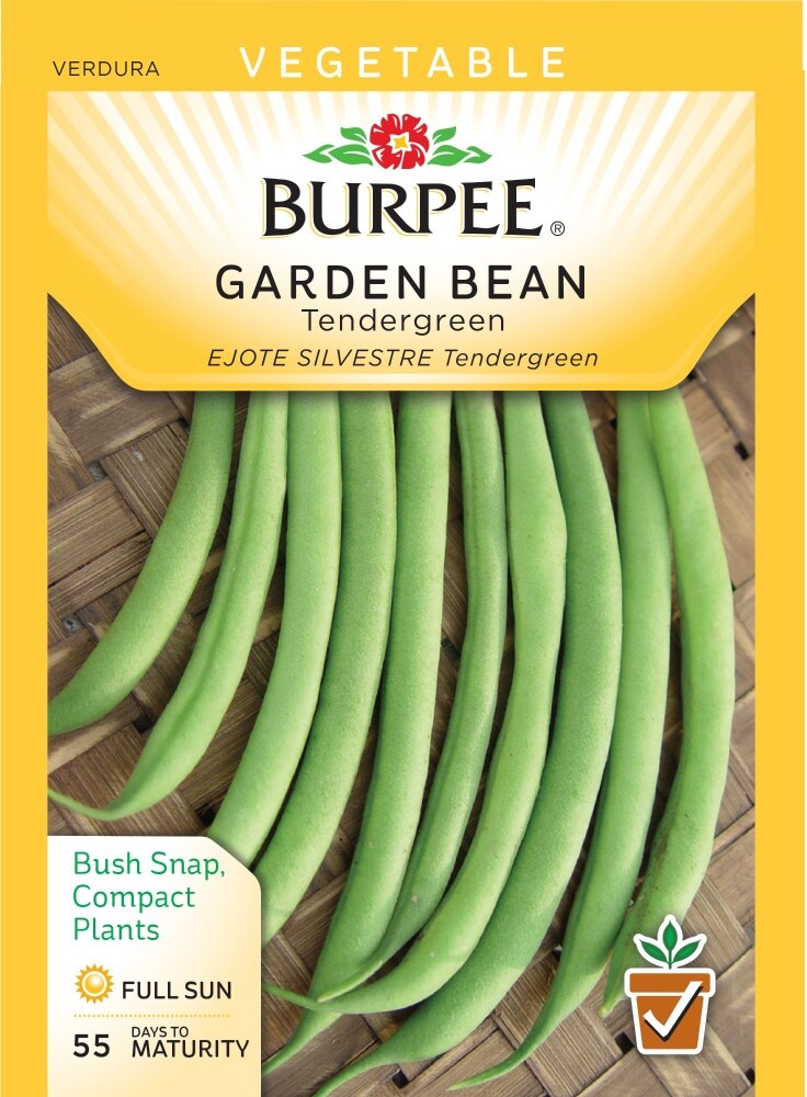 slide 1 of 1, Burpee Tendergreen Garden Bean Seeds, 1 ct