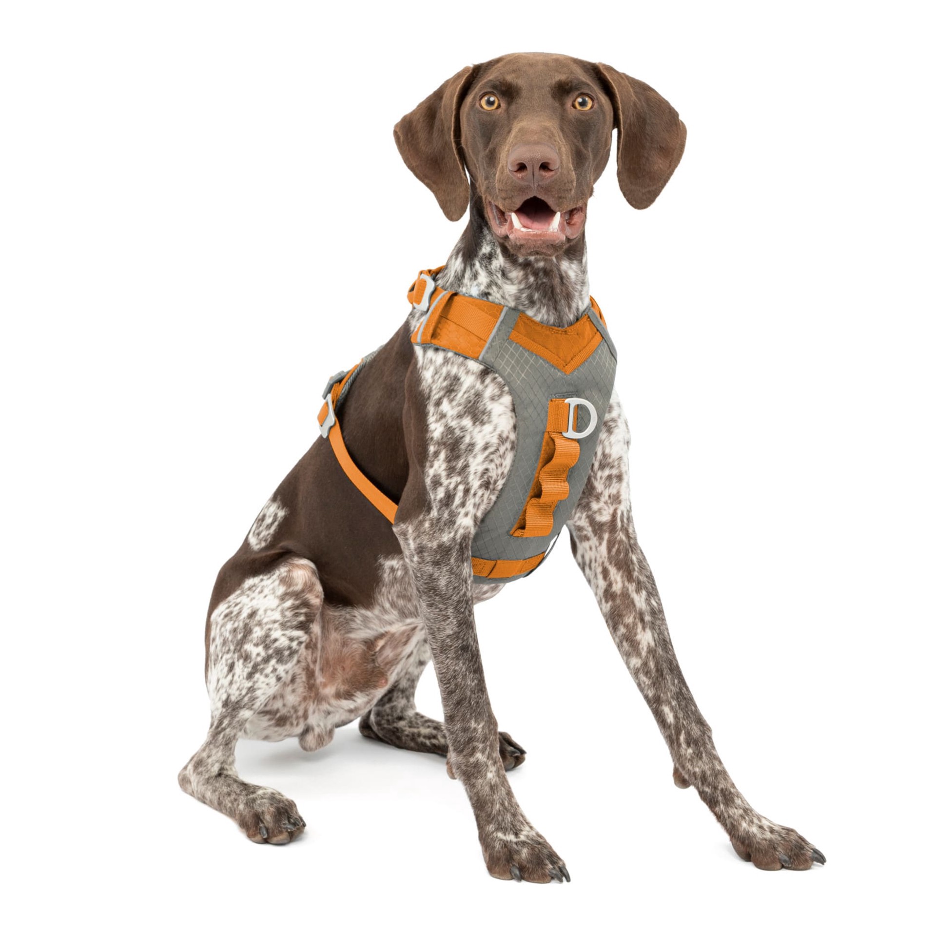 slide 1 of 1, Kurgo Orange Journey Air Vest Dog Harness, MED