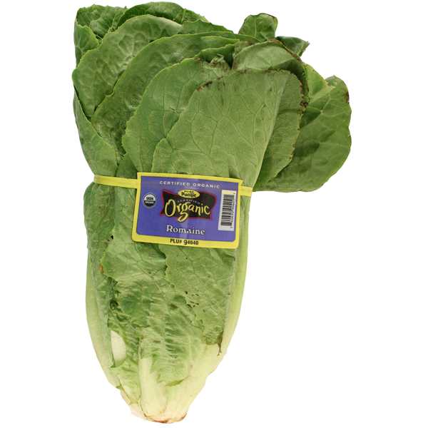 slide 1 of 1, Organic Lettuce Romaine, 1 ct