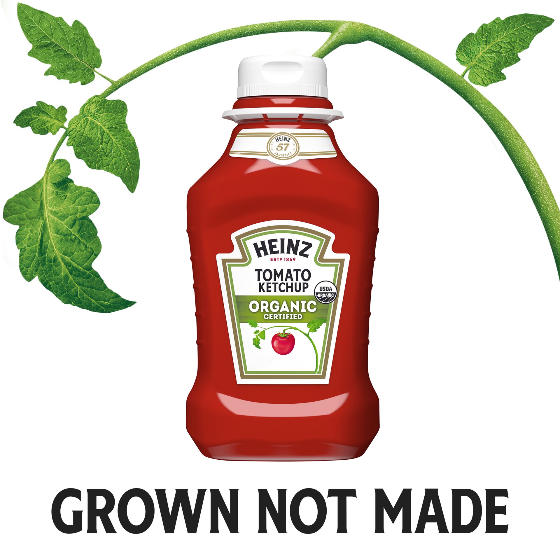 slide 4 of 5, Heinz Organic Tomato Ketchup, 2 ct Pack, 44 oz Bottles, 2 ct