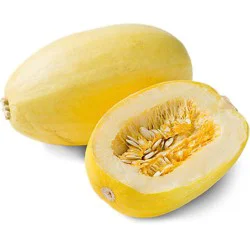 Squash Spaghetti Organic