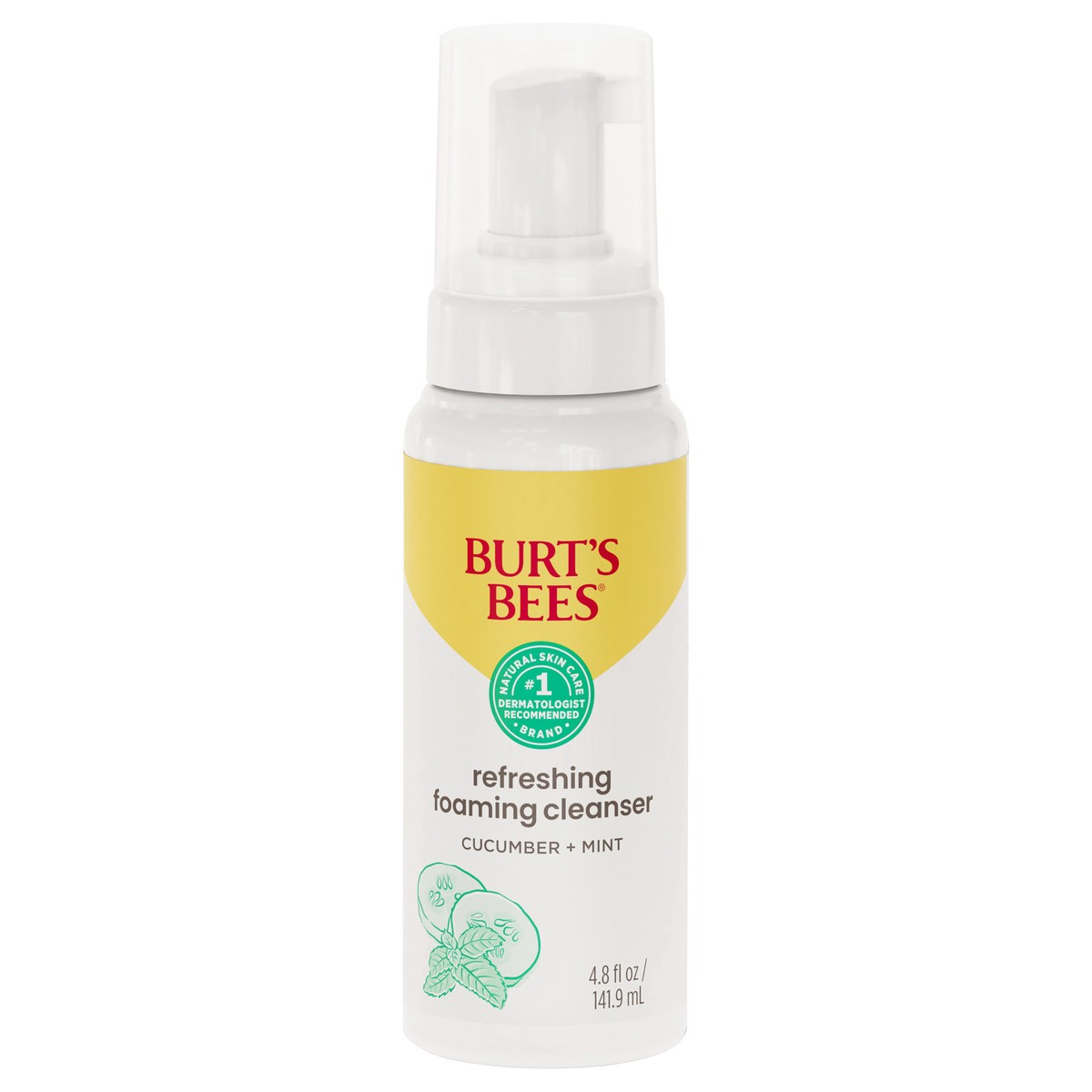 slide 1 of 22, Burt's Bees Refreshing with Cucumber and Mint Foaming Face Cleanser, 4.8 oz