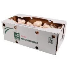 Markon First Crop Mushrooms