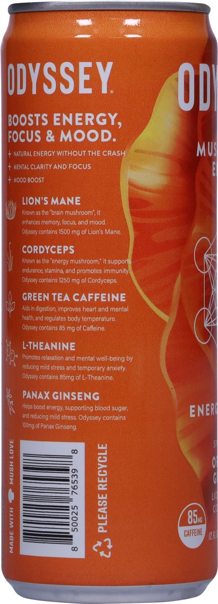slide 6 of 13, Odyssey Energy + Focus Sparkling Orange Ginger Mushroom Elixir 12 fl oz, 12 fl oz