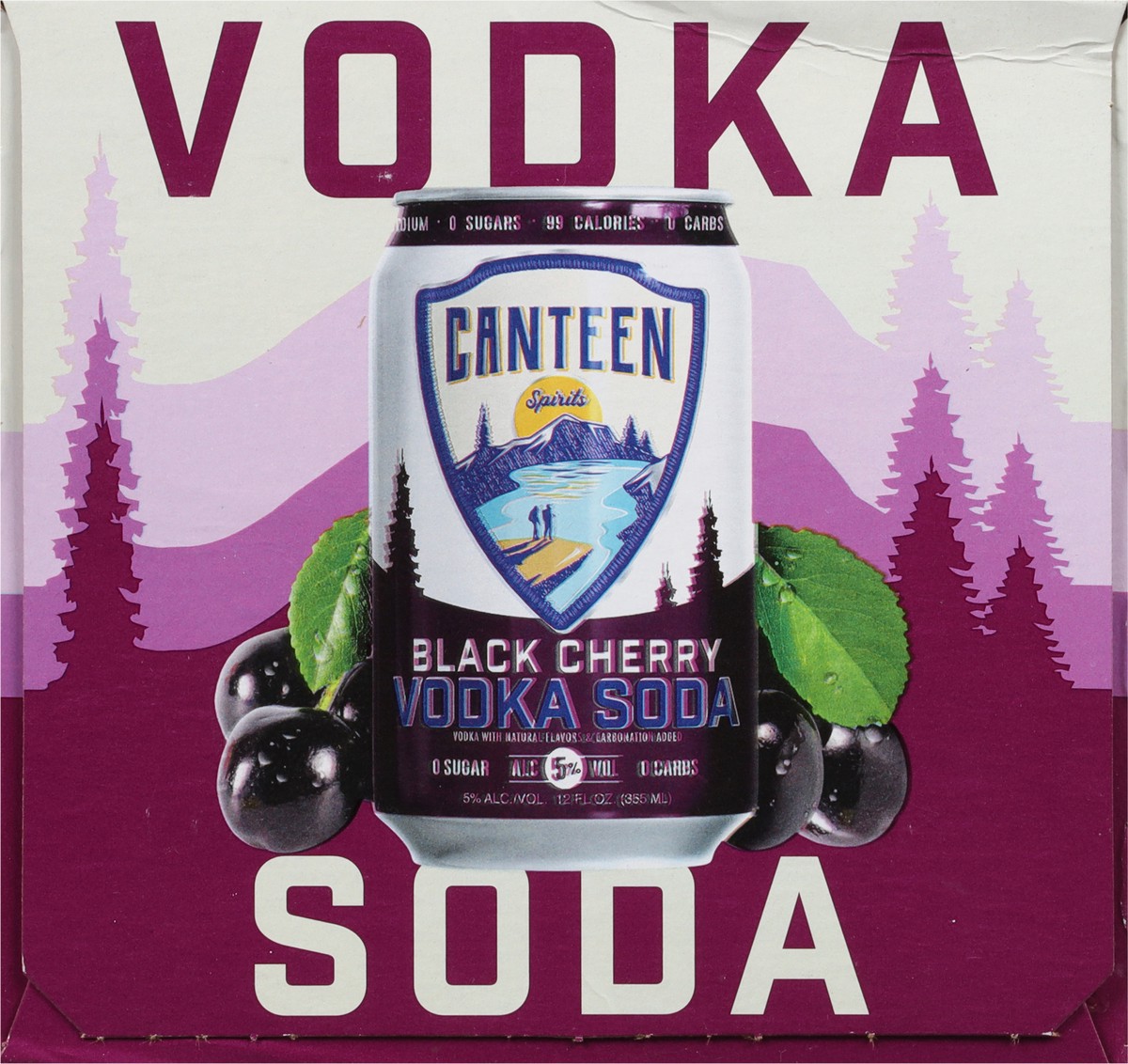slide 7 of 9, Canteen Black Cherry, 48 fl oz